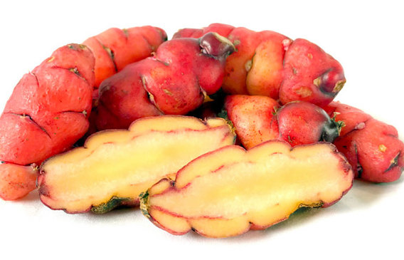 Red Yams