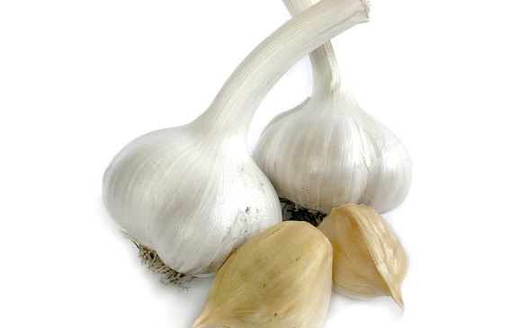 NZ Grown Elephant Garlic